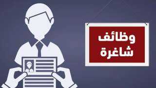 وظائف حكومية 2026.. فرص جديدة للمهندسين والفنيين