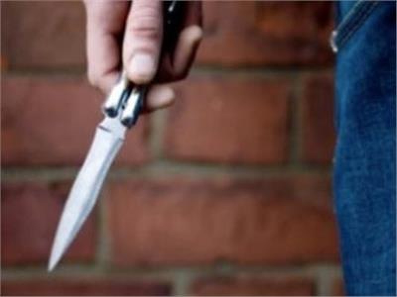 خلافات الجيرة تنتهي بجريمة قتل بشعة في البحيرة