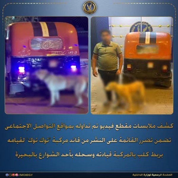 سائق توك توك يسحل كلباً والأمن يتحرك