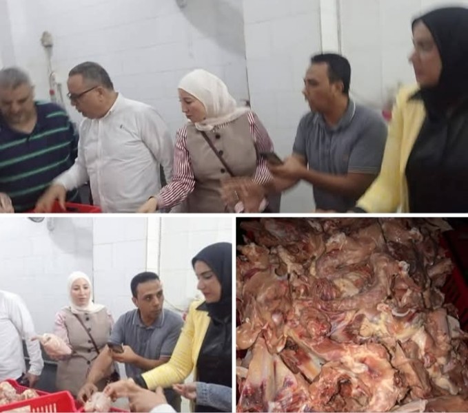 الدقهلية: ضبط نحو 5 أطنان من الدواجن ومجزّآت الدجاج غير الصالحة للاستهلاك الآدمي في ميت غمر