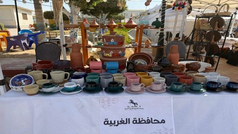 محافظ الغربية يشيد بنجاح أيادي مصر في مهرجان الشرقية للخيول