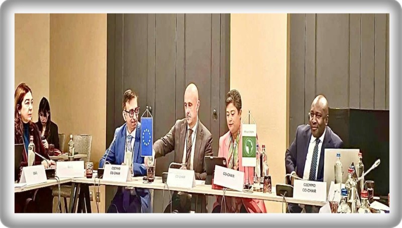 نميرة نجم ترفض نقل أعباء اللجوء إلى «دول ثالثة» على حساب حقوق المهاجرين.