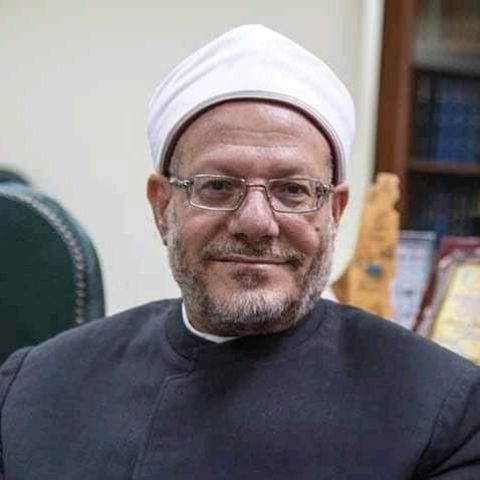 احمد حلمى 