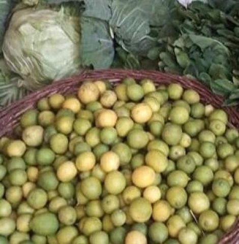 الخطيب مؤمن زكريا يعقوب السعدي