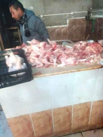 أرشيفية