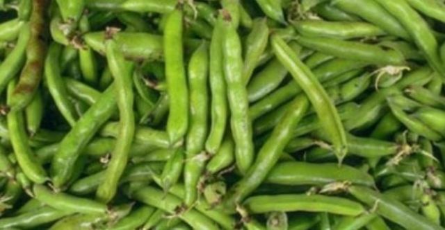 الرئيس الفنزويلي نيكولاس مادورو