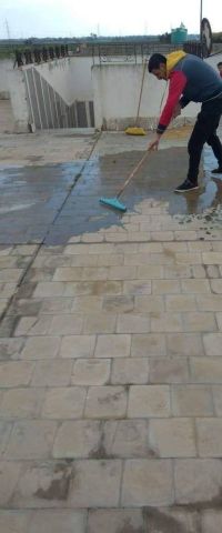 الدقهلية