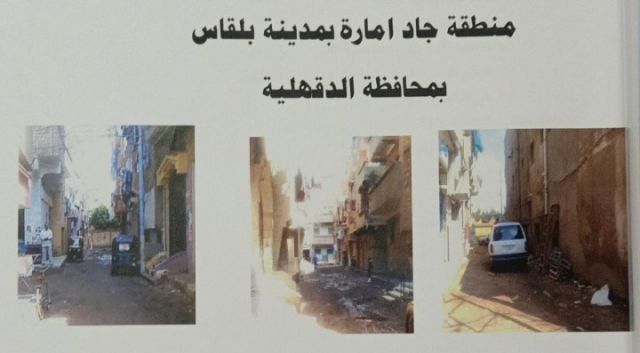 الدقهلية