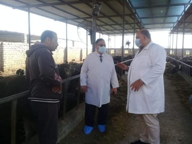 الطب البيطري بالدقهلية 