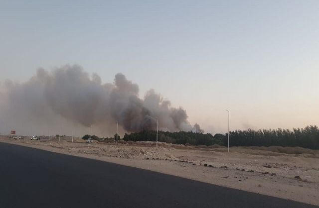 حريق في الغابة الشجرية أرشيف