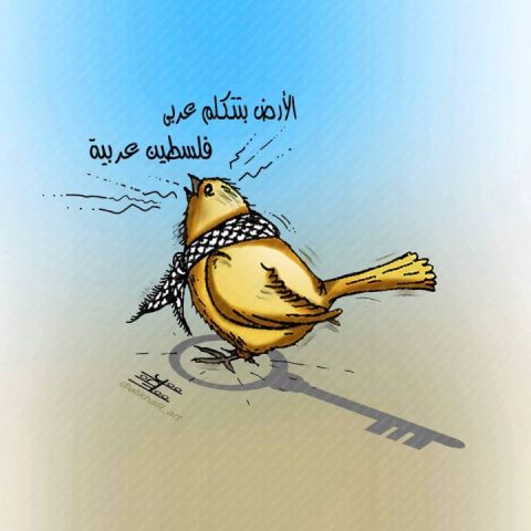فلسطين عربية فى كاريكاتير الديار