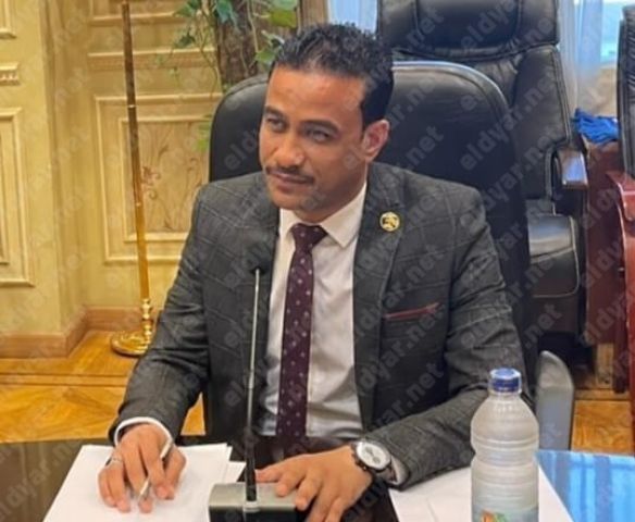 النائب: سيد الكرماوى
