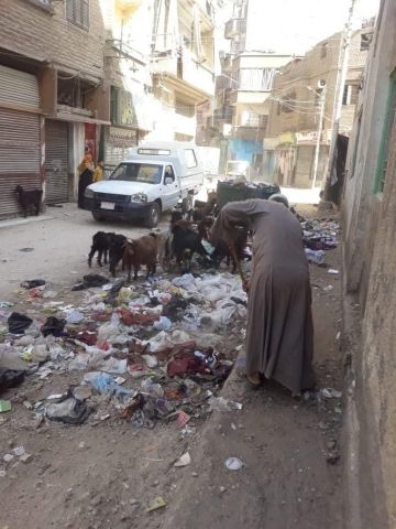 رفع ٧ طن قمامة في حملات للنظافة بكفر سعد
