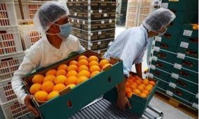 صورة ارشيفية