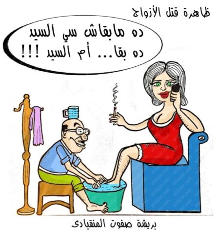 كاريكاتير الديار..«دا بقى أم السيد» بريشة صفوت المنقبادي