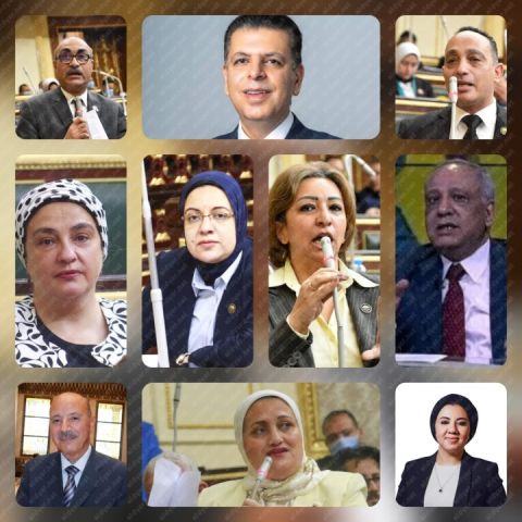الهيئة البرلمانية للمصري الديمقراطي