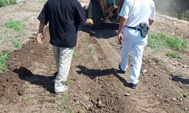 إزالة ١٥ حالة تعدى على أرض زراعية بقرية ديروط بمركز المحمودية (صور)