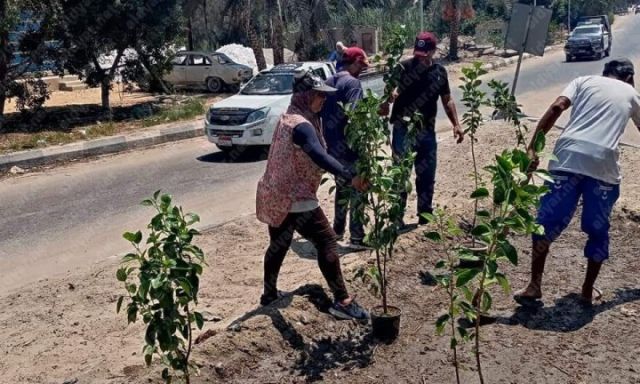 الإسماعيلية تتجمل استعدادا لإستقبال مهرجان