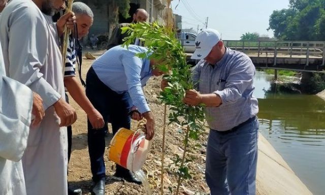 صور .. رئيس مدينة إيتاى يتابع تجميل مداخل القرى بايتاي البارود