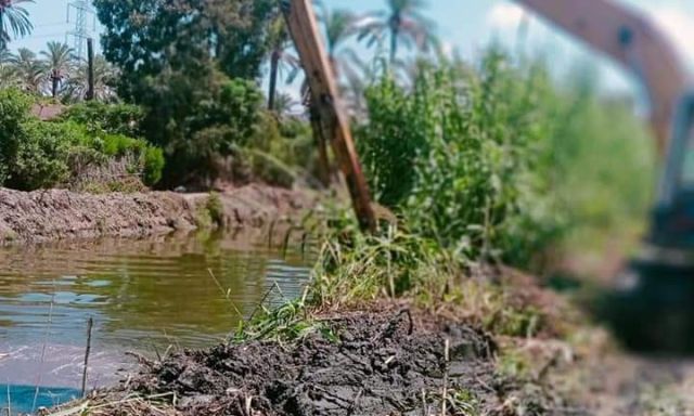 جانب من حملة تطهير الترعة الرشيدية أمام محلة الأمير بمركز رشيد