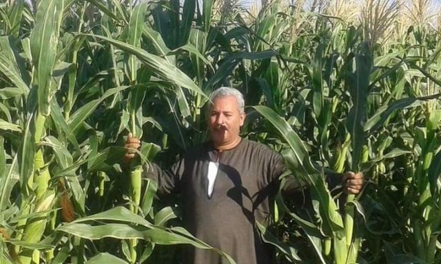 نقيب عام الفلاحين