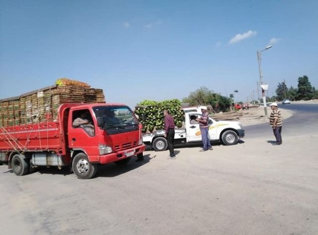 بالصور .. متابعة تحصيل كارتة الخضر والفاكهة بمركز بدر