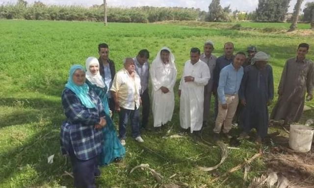 الإعلام الريفي يقدم حلول عملية لمزارعي الإسكندرية