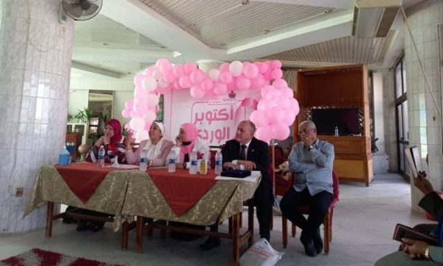 قومي المرأة بمحافظة الإسماعيلية يحتفل بـ أكتوبر الوردي
