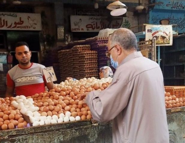 استقرار أسعار البيض بأسواق الإسكندرية