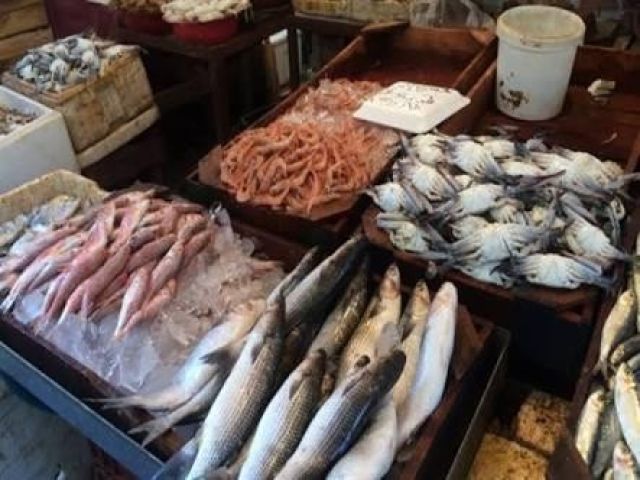 اسعار السمك-ارشيفية