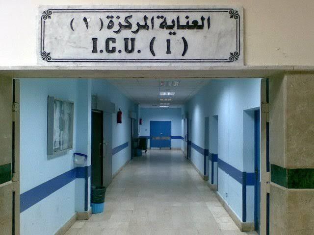 حملة بحي الدقي