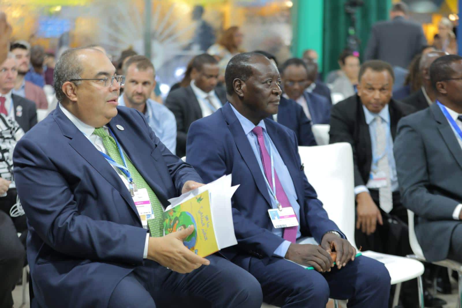 محيي الدين : استضافة أفريقيا لـ ”COP27” يجعله مؤتمراً لتنفيذ العمل ...